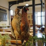 fake hens hanging on a string