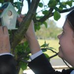 World Environment Day