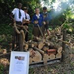 World Environment Day